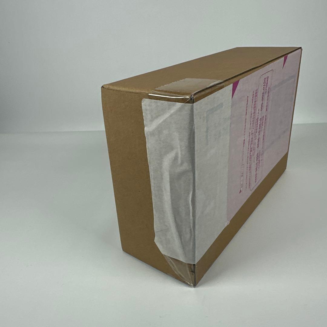 真骨彫　SHFiguarts 仮面ライダー　サガ