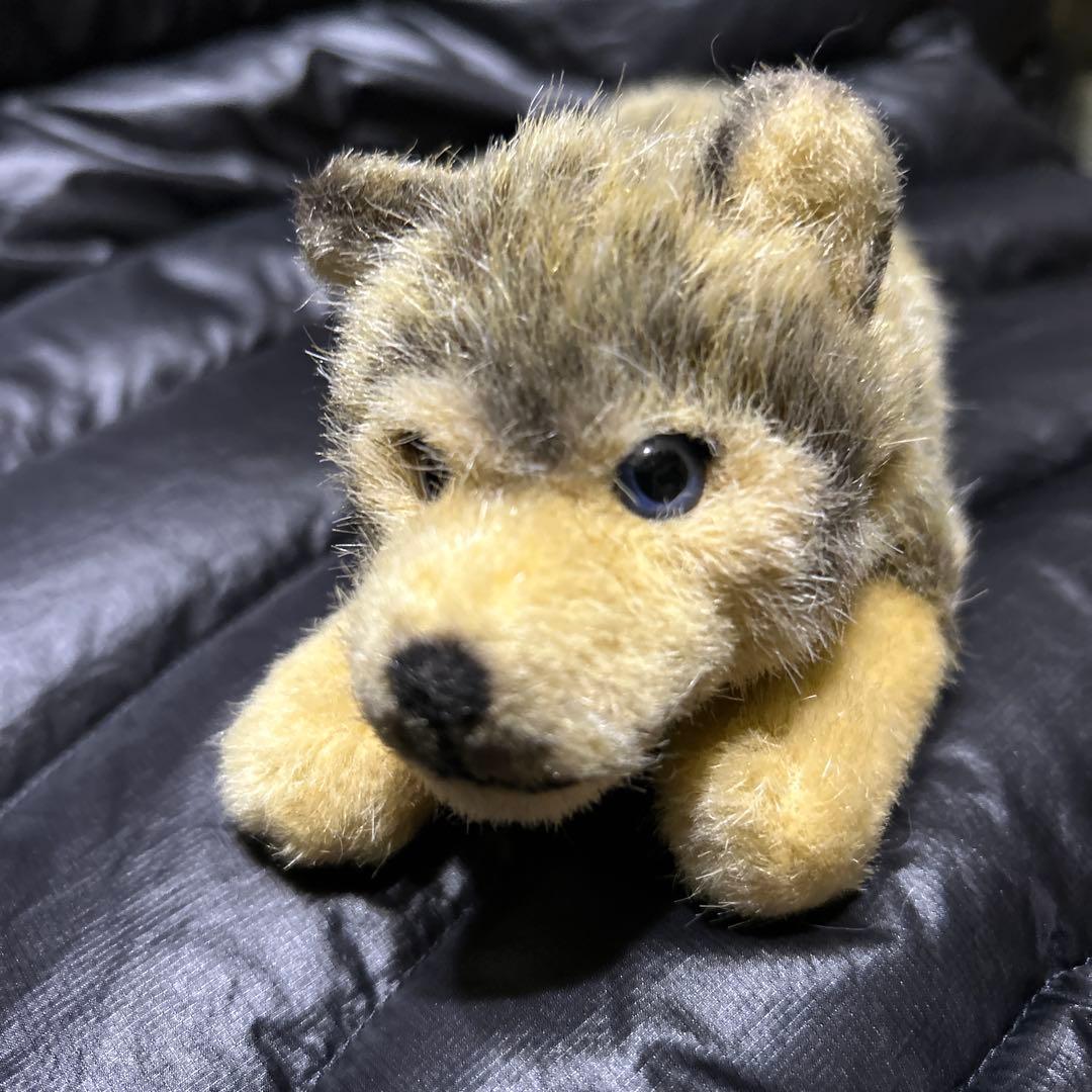 KOSEN ぬいぐるみ　オオカミの子　伏せ❣️