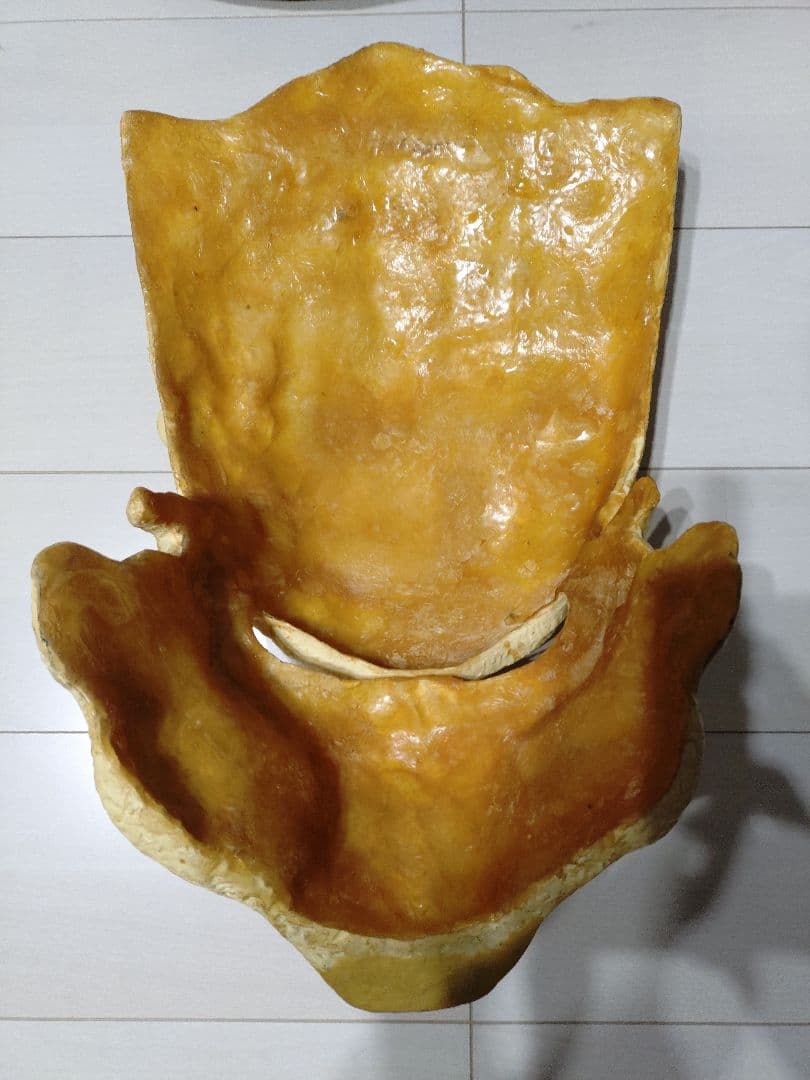 ロストプレデター　ボア　1/1サイズ　プロップレプリカ　マスク