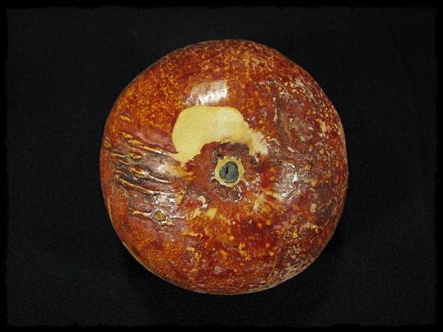 田中 篁秋 可忘茶 かぼちゃ 茶入 茶道具 e139