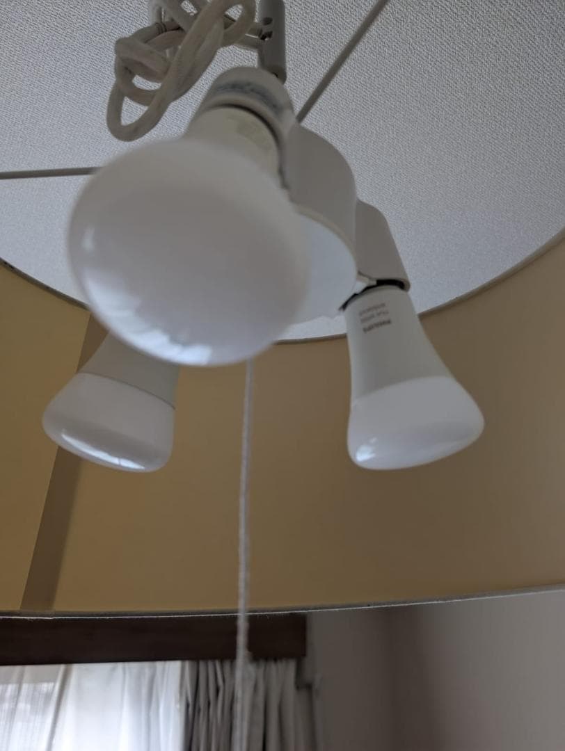 Philips Hue(ブリッジ、リモコン、LED電球800LM、ライトセット)