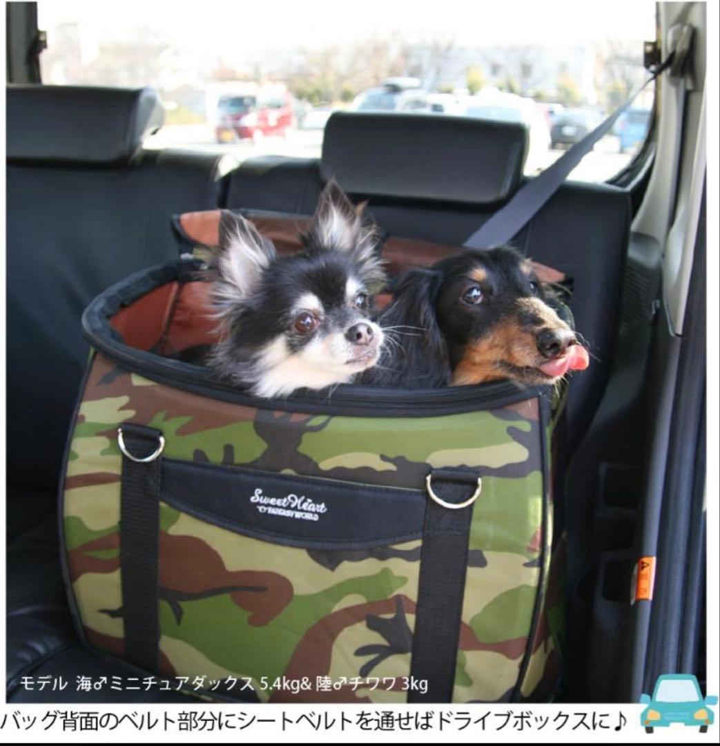 キャリーバッグ