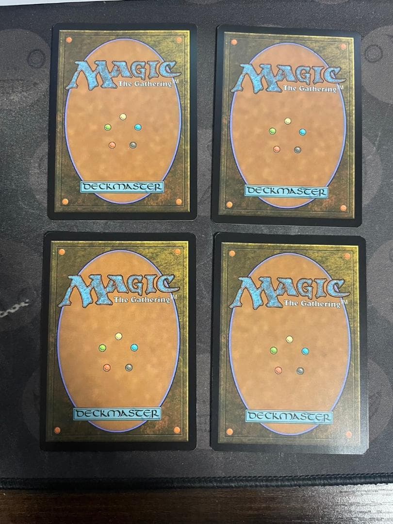 湿地の干潟 英語 拡張 4枚セット