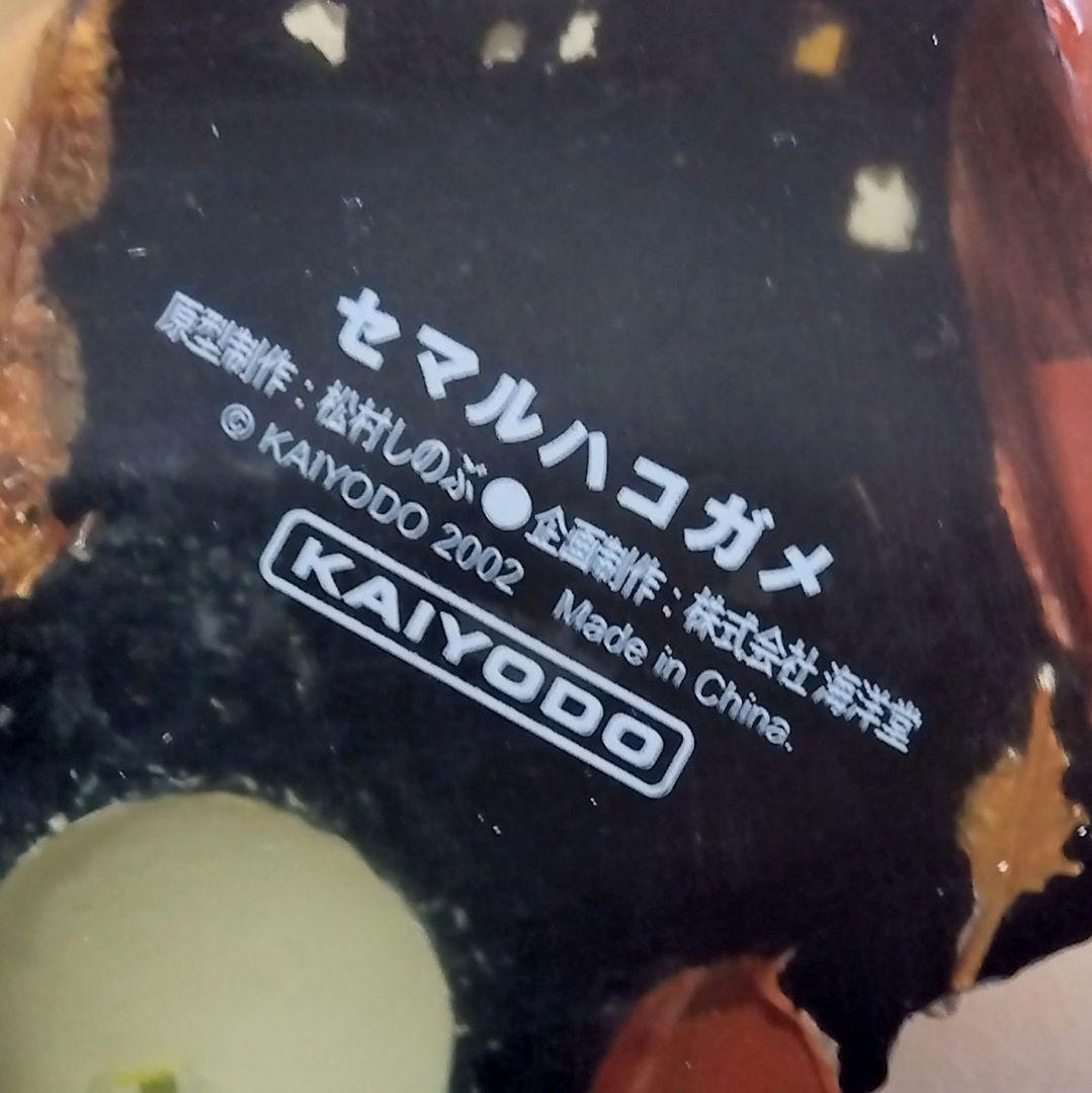 Naturetales セマルハコガメ　幼体フィギュア