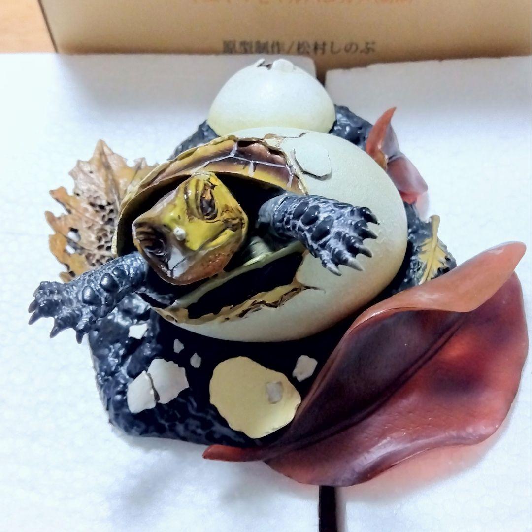 Naturetales セマルハコガメ　幼体フィギュア