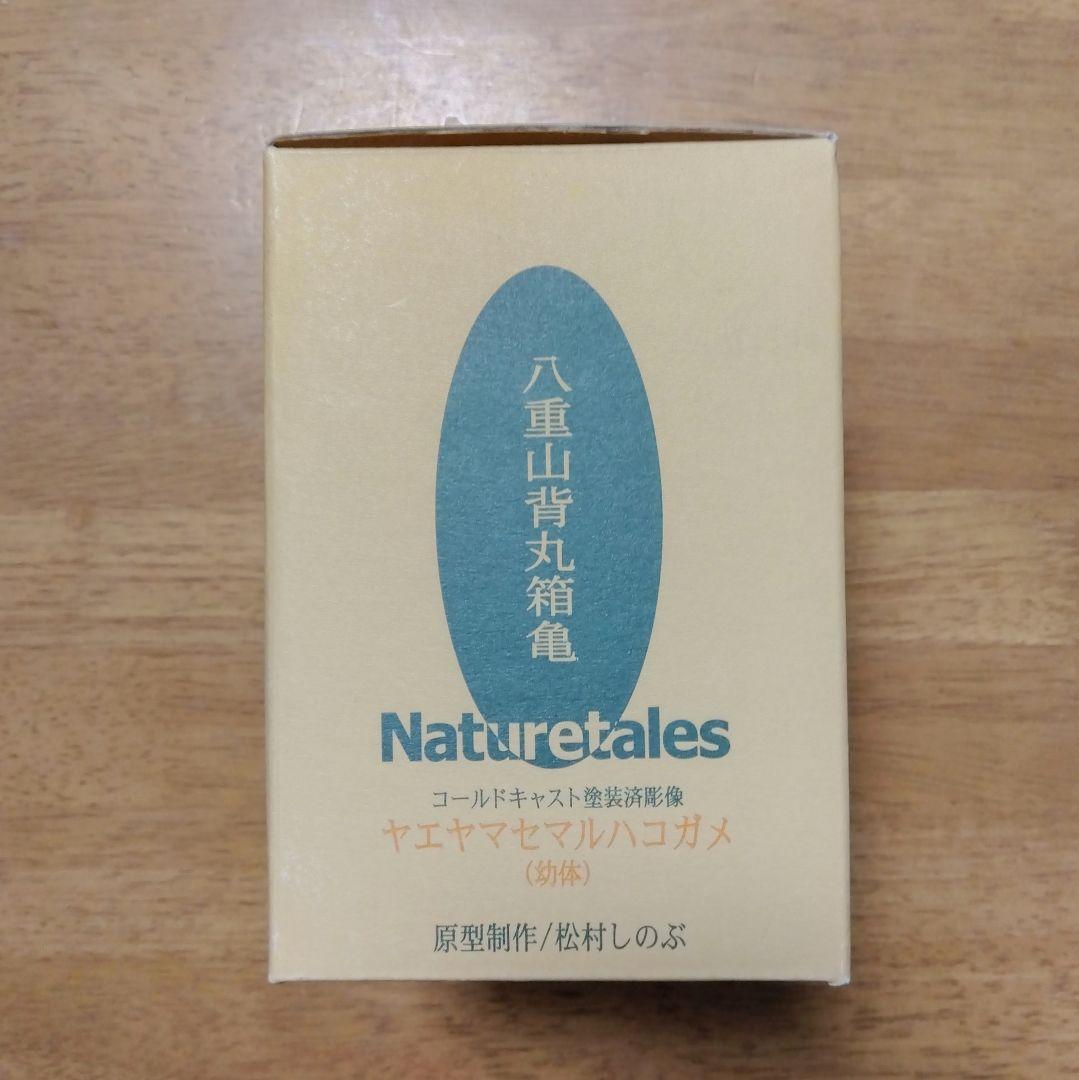 Naturetales セマルハコガメ　幼体フィギュア