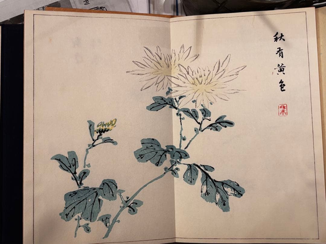 【美品】絵画集 丹青一斑 全5巻 芸艸堂発行