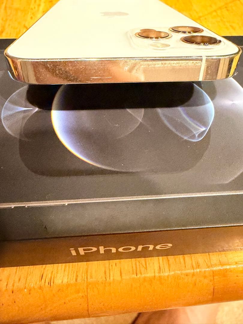 iPhone 12 Pro 256GB シルバー 本体　ジャンク