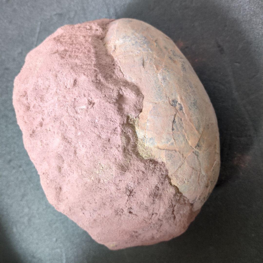 (貴重)　恐竜ハドロサウルスの卵化石　中国　補修あり