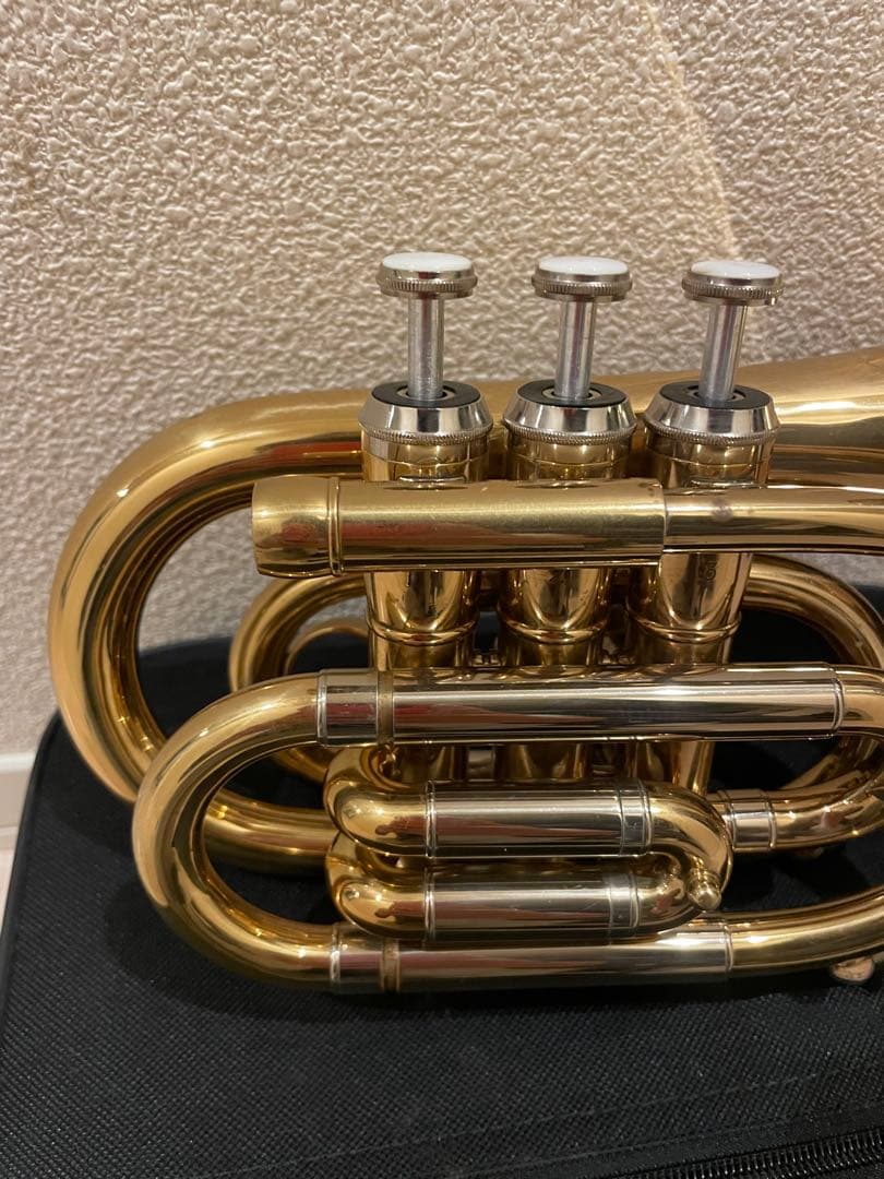❗️タイムSALE❗️ポケットトランペット マウスピース付き