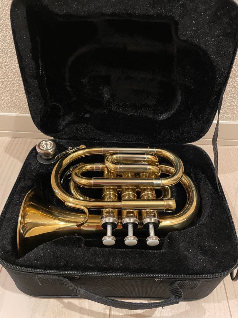 ❗️タイムSALE❗️ポケットトランペット マウスピース付き