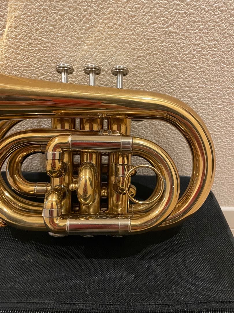 ❗️タイムSALE❗️ポケットトランペット マウスピース付き