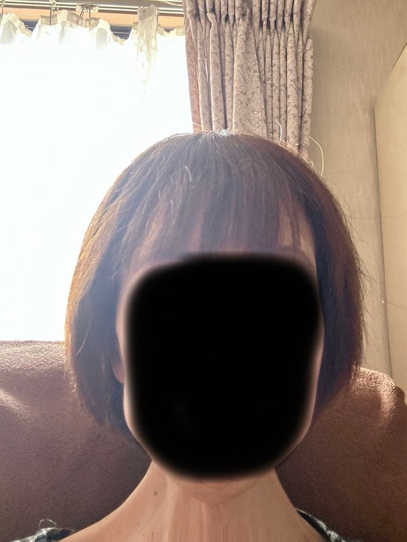 人毛　フルウィッグ　ブラウン シロファクトリー