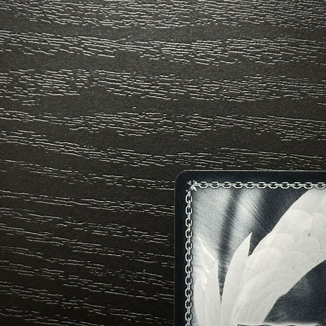 WS レーゲンスブルク SP サイン