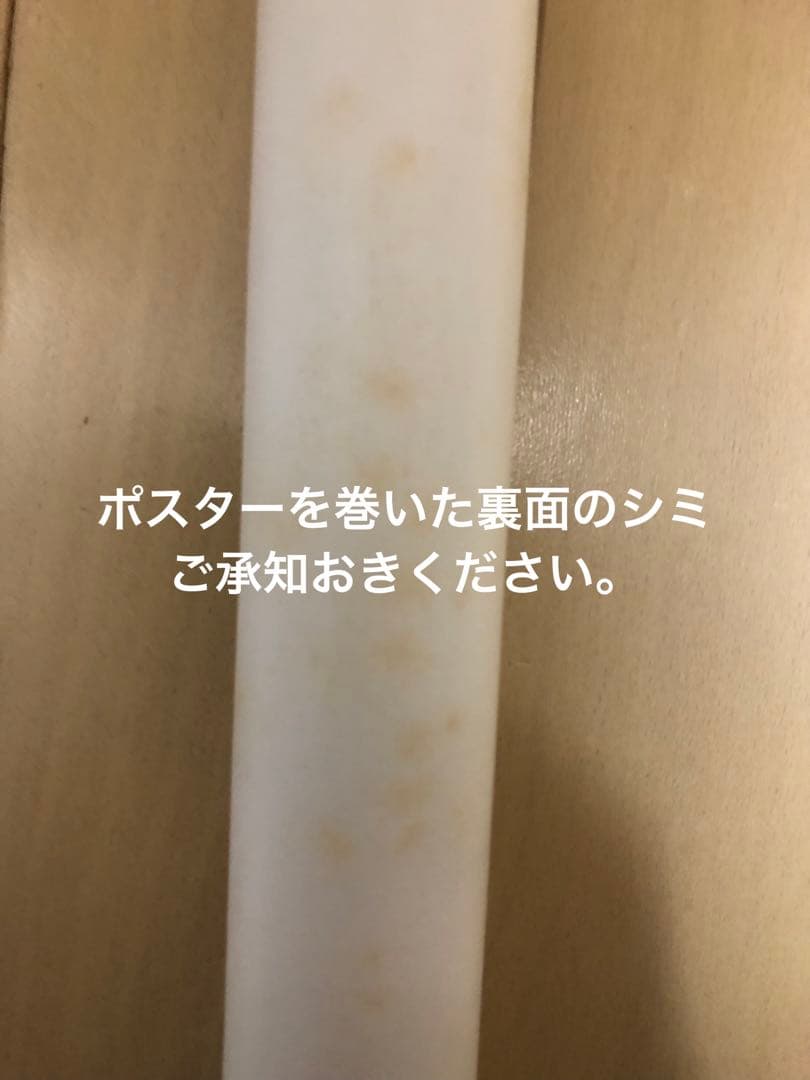 希少！妖艶美！アグネス・ラムポスター　ハワイの美女！1976年大ブレイクの女神