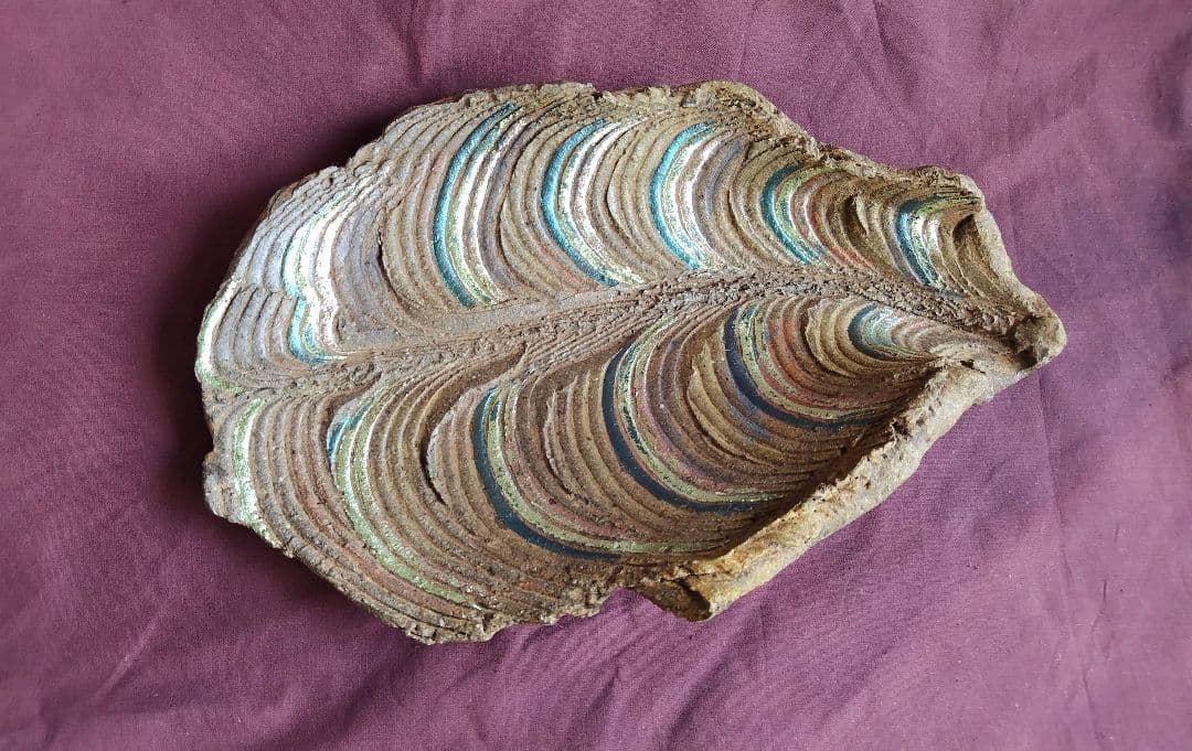 葉化石皿 (杉浦康益 作)