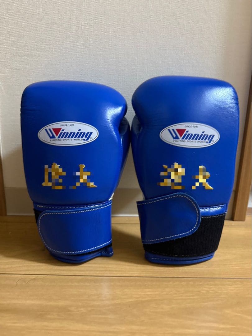 [ほぼ新品]ウイニングボクシンググローブ 10 oz
