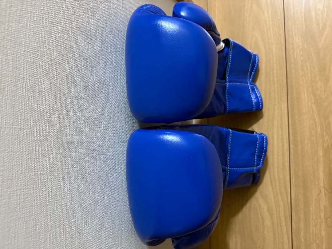 [ほぼ新品]ウイニングボクシンググローブ 10 oz