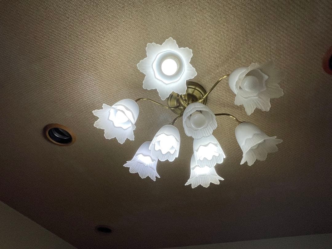 リビング　照明　フラワー型シェード