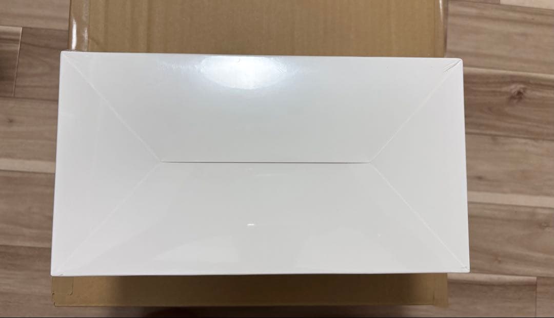 【新品未開封】Big into Energy アソートボックス 正規品 ラブブ