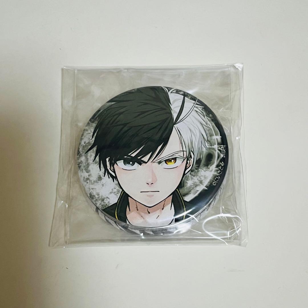 希少 windbreaker ウィンドブレーカー ウィンブレ 缶バッジ