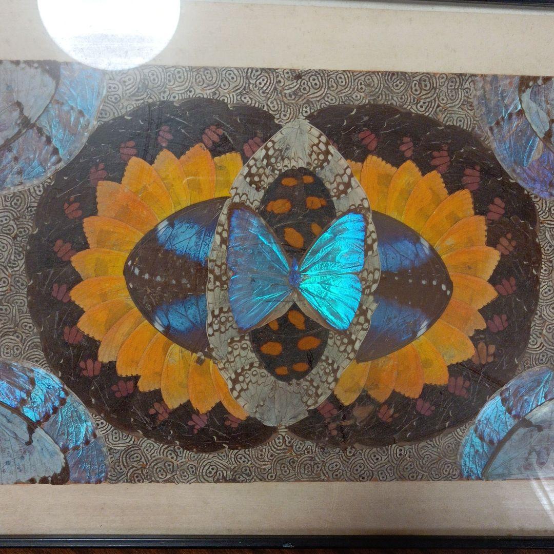 蝶の羽根　羽根絵　額縁付き