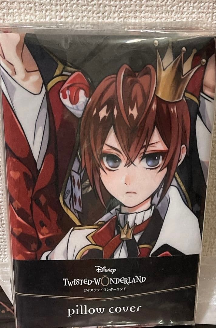 【新品未開封】リドル ねんどろいど 初回限定特典付き＆マグネットマスコット等