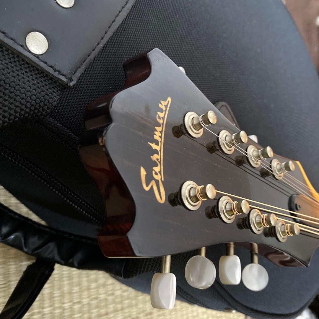 Eastman MD-505/A.Red フラットマンドリン メンテナンス前提で