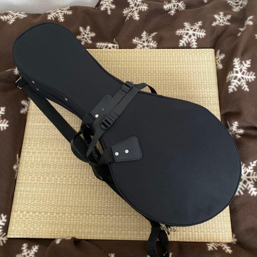 Eastman MD-505/A.Red フラットマンドリン メンテナンス前提で