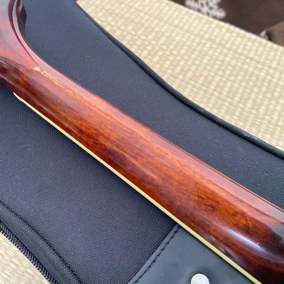 Eastman MD-505/A.Red フラットマンドリン メンテナンス前提で