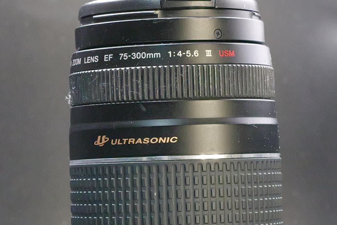 【美品】望遠レンズ Canon EF 75-300mm F4-5.6 Ⅲ　USM