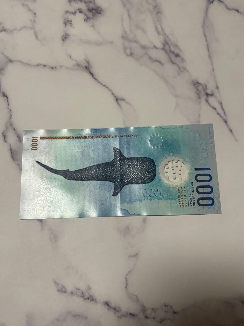 モルディブ 1000ルフィア 紙幣 新札