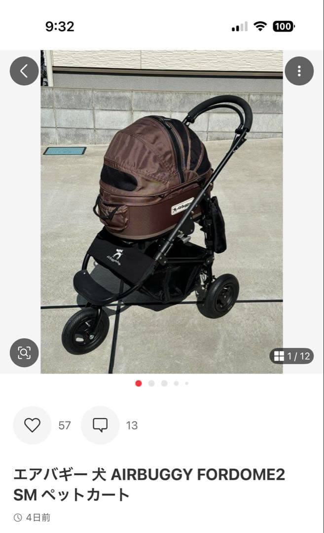 エアバギーフォードッグ　②