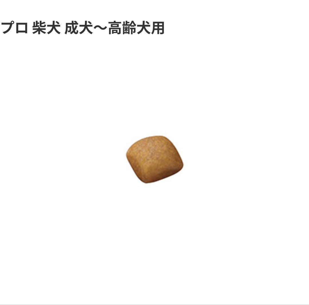 【当日発送】ロイヤルカナン　柴犬　成犬〜高齢犬用　8kg×3袋