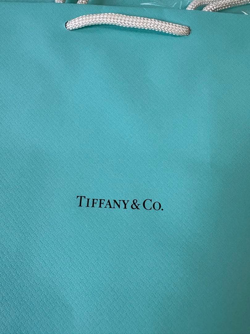 現行品　新品未使用ティファニー ショッピング紙袋60枚セット（20x25cm）