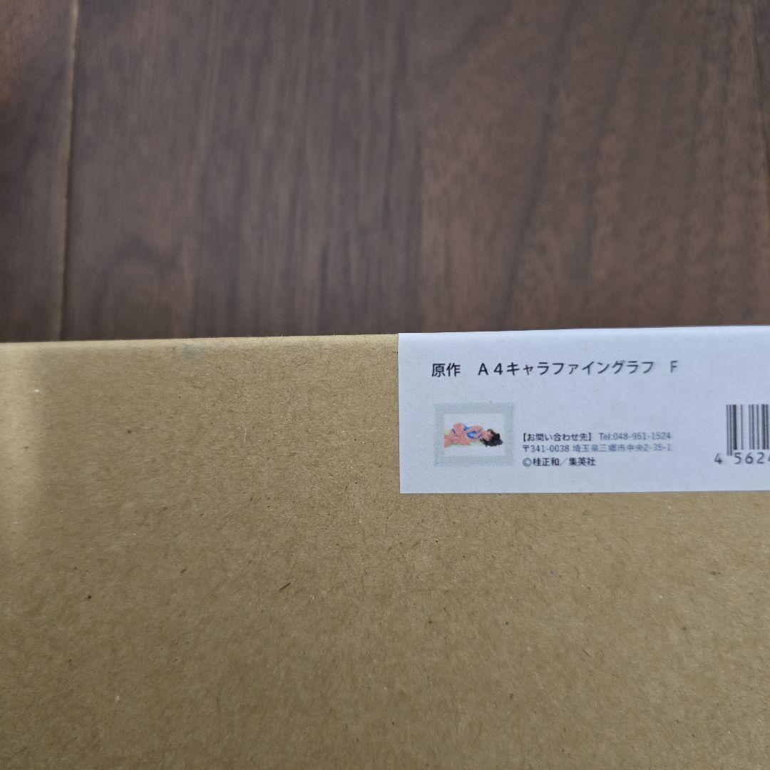 桂正和　複製原画　A4キャラファイングラフ　I\"s 葦月伊織