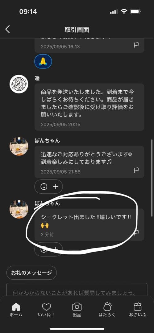 Shinya6113【正規品・未開封】Labubu 4箱