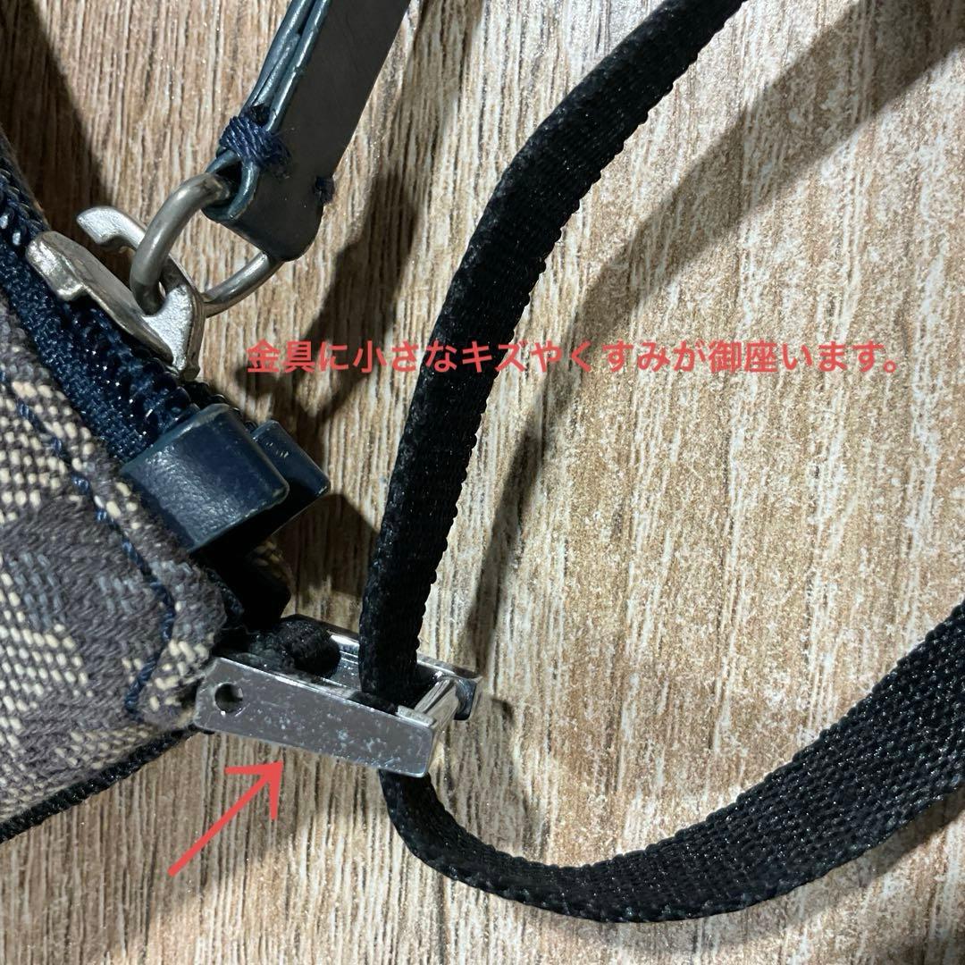 クリスチャンディオール アクセサリーポーチ　トロッター　ミニワンショルダー