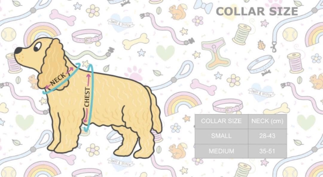 【イギリス製】中型、大型犬　カラー、ハーネス、リード、プーバック4点