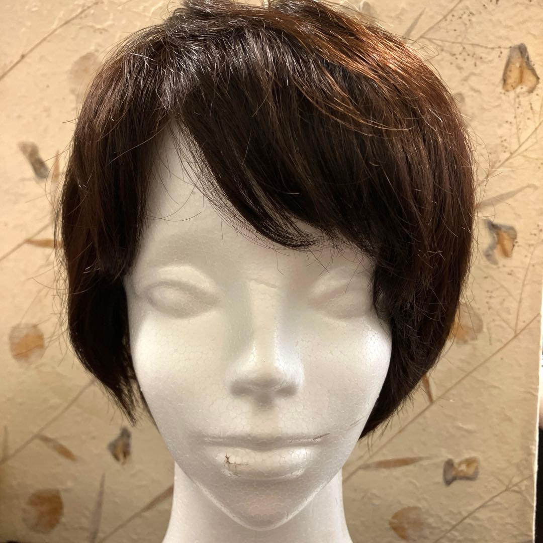 新品医療用ウィッグ ショートヘア ブラウン 総手植え RINGSJapan