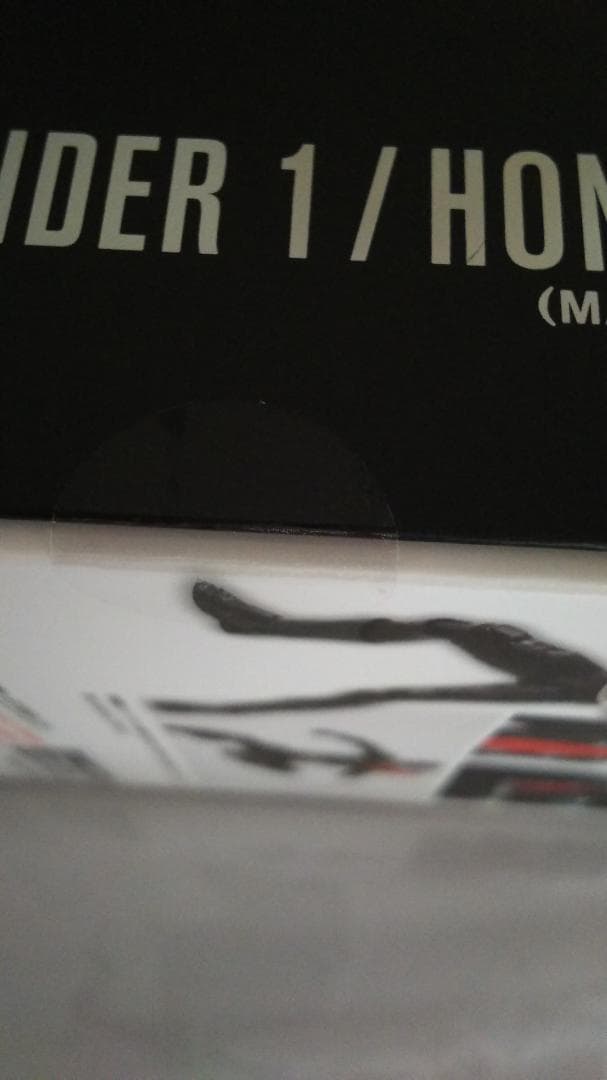 真骨彫 仮面ライダー the next