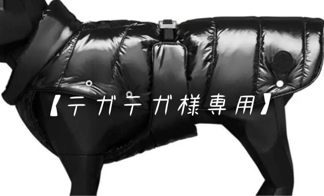 モンクレールMONCLER ドッグ00