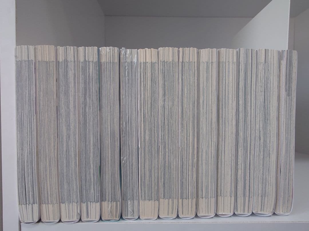 メタリスト 13巻+公式ファンブックセット つるまいかだ