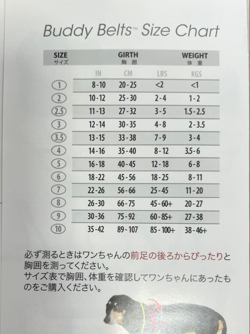 バディベルト ブルージーン ハーネス7号・リードセット