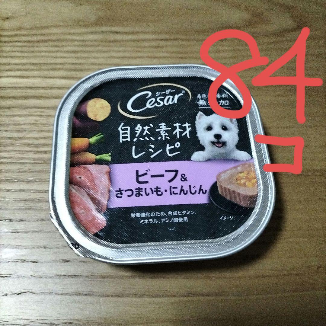 ドッグフード Cesar