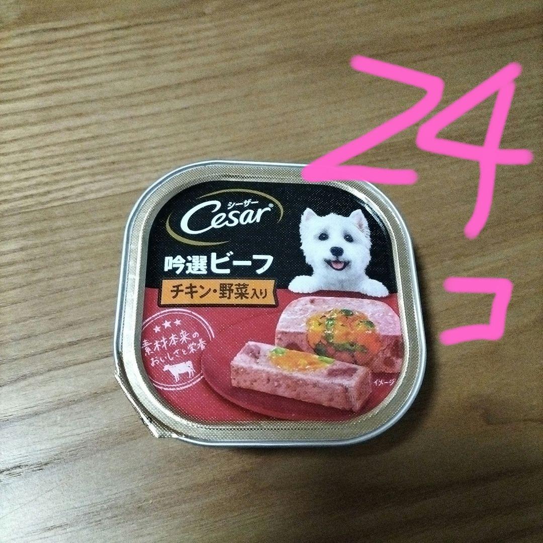 ドッグフード Cesar