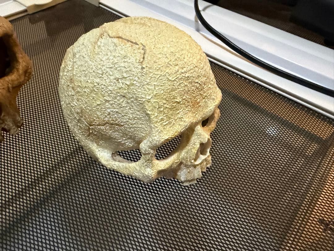 中型飼育ケージ パンテオンホワイト9045