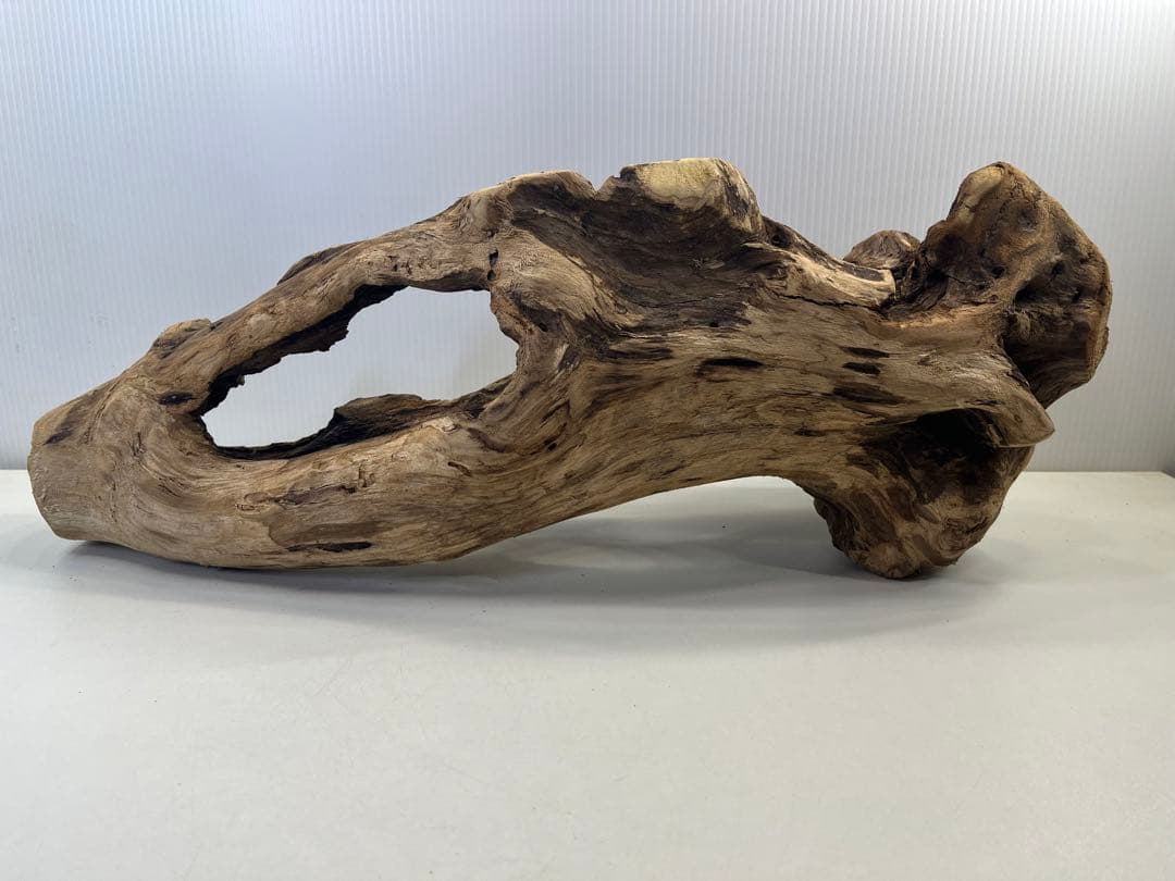 R63アク抜き済み流木 爬虫類シェルター 登り木 インテリア 生け花