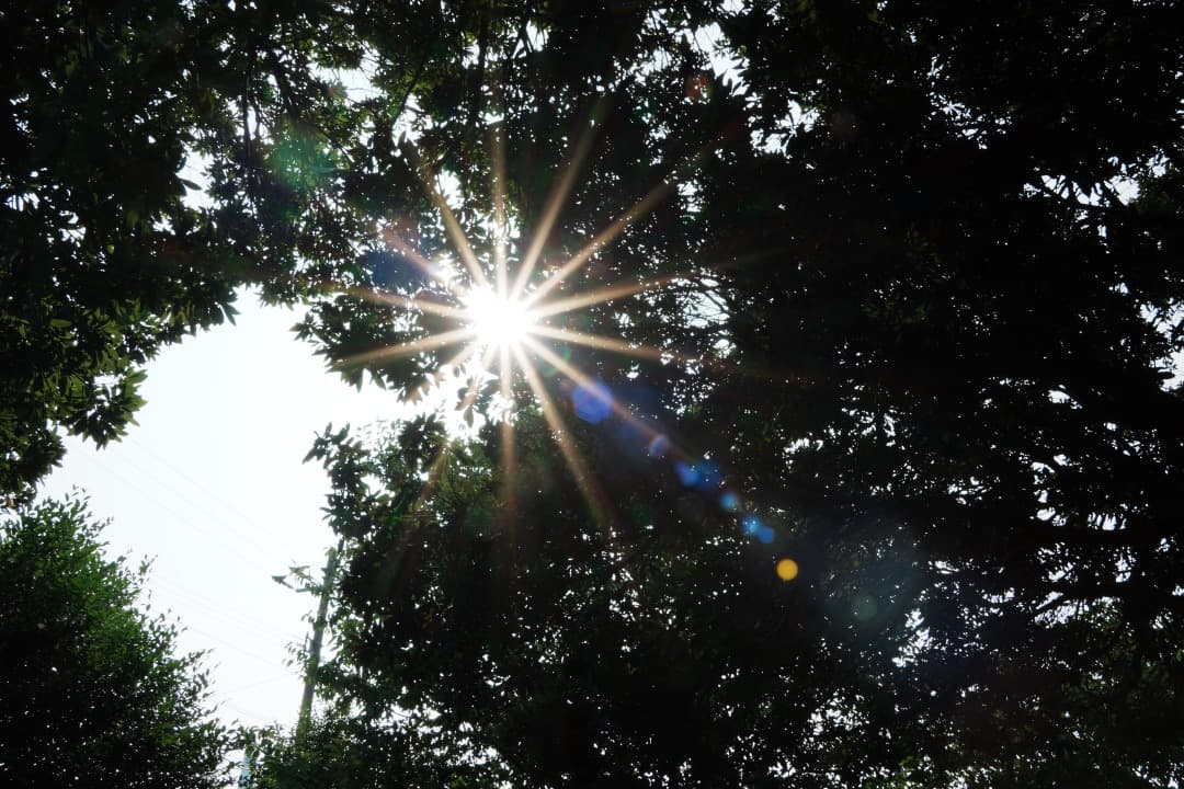 【美品】TAMRON 18-300mm 高倍率ズーム 手振れ補正 ソニーE