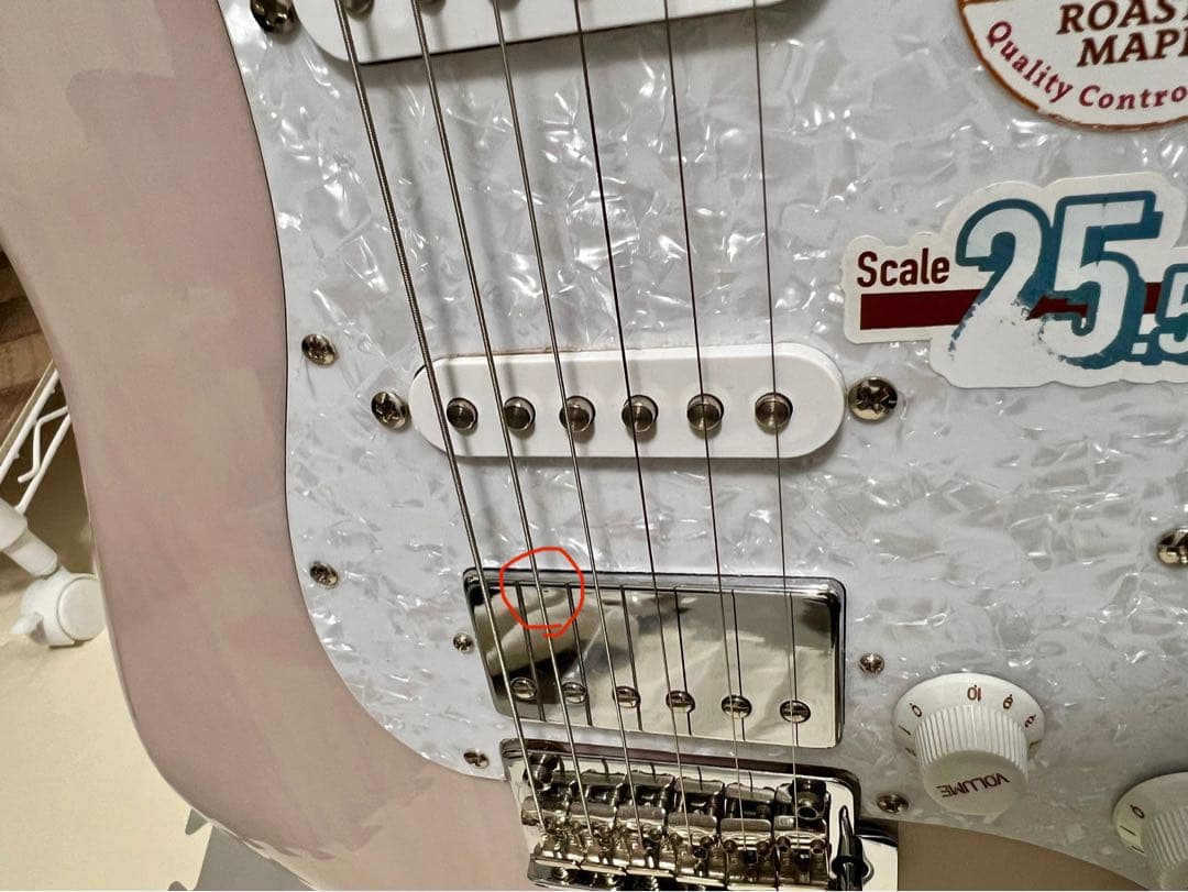 バッカス　BSH-850 /RSM S-SW 最終値下げ！